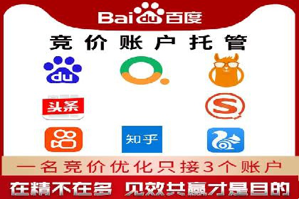 百度竞价排名服务助力：某品牌迅速占领市场