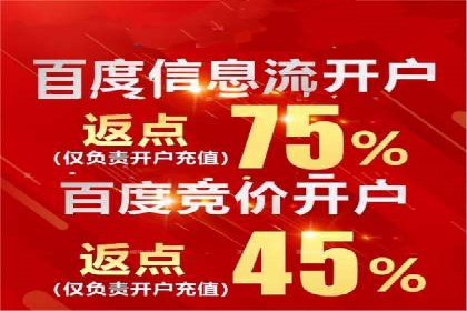 竞价排名与自然排名的对比案例